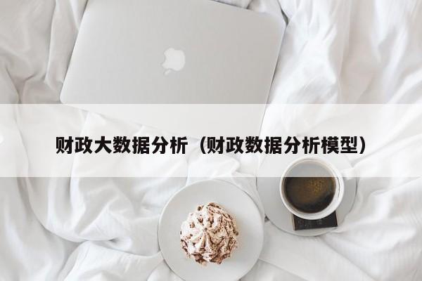乐鱼官网-财政大数据分析（财政数据分析模型）
